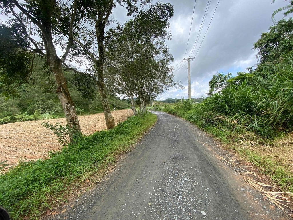 Rẫy cà phê robusta kinh doanh 2,7ha tại Đạ Tẻh 2