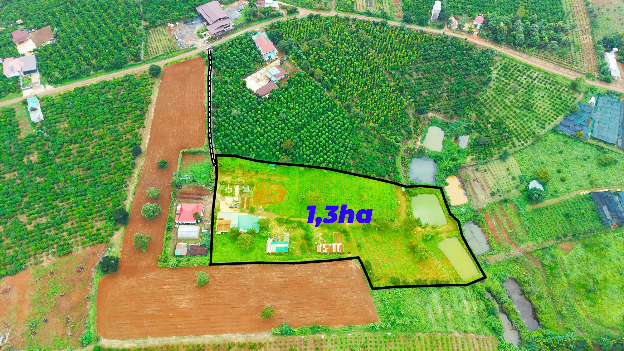 Đất 1,3ha đã tách 8 sổ có nhà cà phê Đông Gia Nghĩa